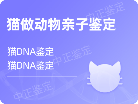 宜昌猫做动物亲子鉴定